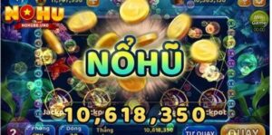 Tổng Quan Về Nohu88
