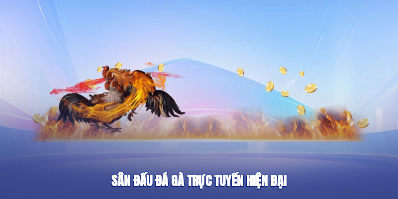 Sân đấu đá gà trực tuyến hiện đại