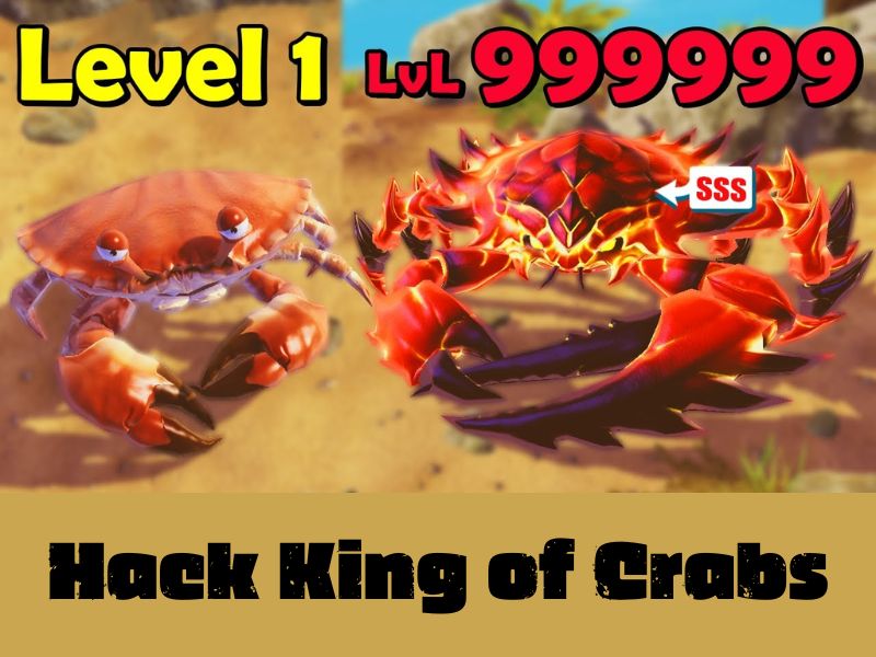 Tải Hack King Of Crabs (Vô Hạn Tiền, Mở Khóa Full Cua) v1.21.0 3 Những Tính Năng Nổi Bật Của Phiên Bản Hack King Of Crabs